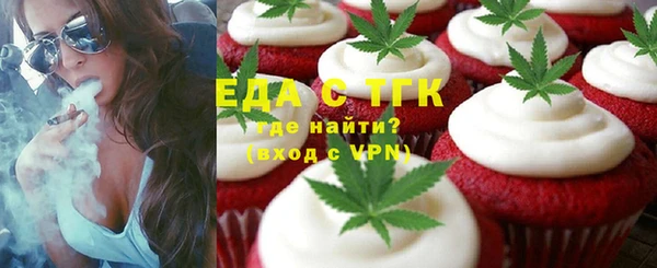 хмурый Алексин