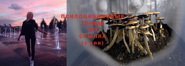 дживик Алексеевка