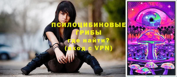 эйфоретик Алзамай