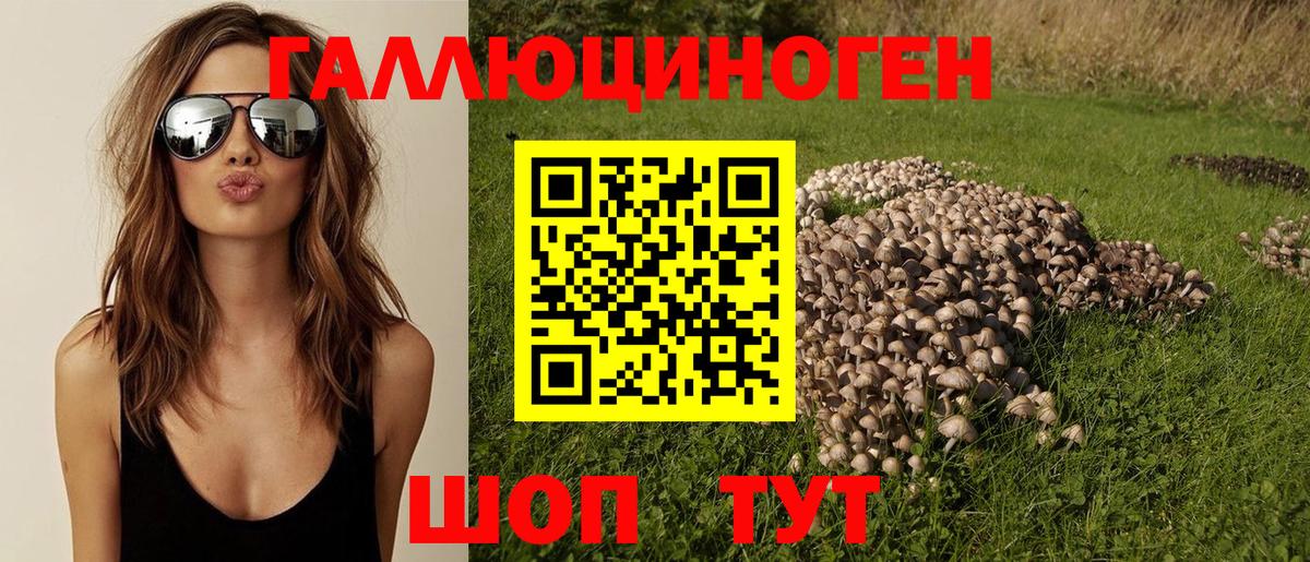 Смоленск  Псилоцибиновые грибы прущие грибы  Вход с VPN 