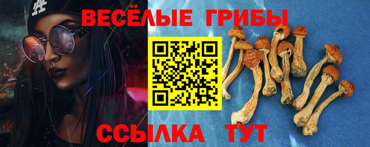 Псилоцибиновые грибы мицелий Смоленск